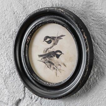 Mesange Charbonnieres Cadre Rond