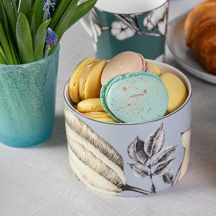 Голубая ёмкость для хранения с карамболой Экзо Exo Box Carambola Blue