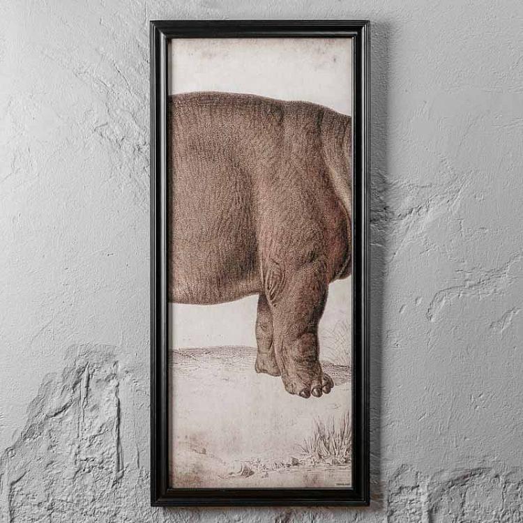 Картина-принт триптих Гиппопотам Set Of 3 Nature Hippo