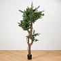 Искусственное дерево Celeste Ficus Benjamina 180 cm