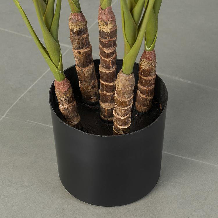 Искусственная Кордилина 5 Stems Cordyline 73 cm