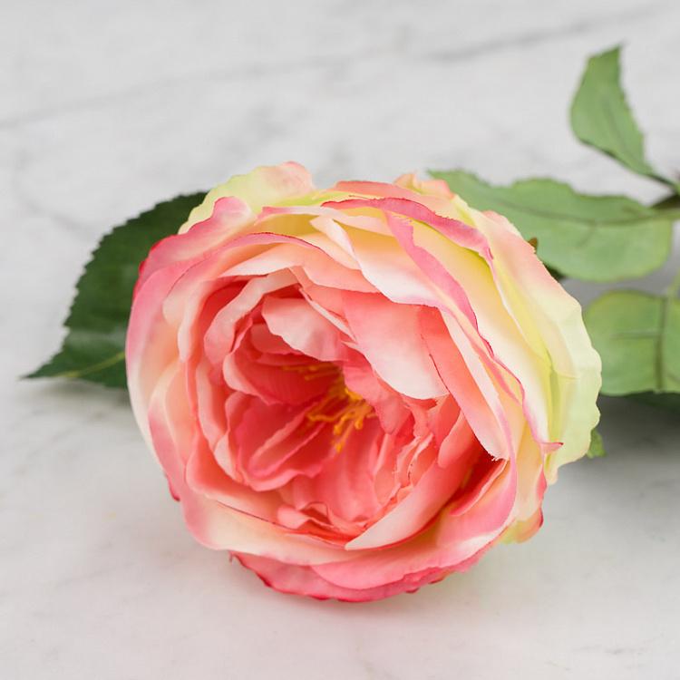 Искусственная роза Джема розово-лаймовая Gemma Rose Pink With Light Lime 56 cm