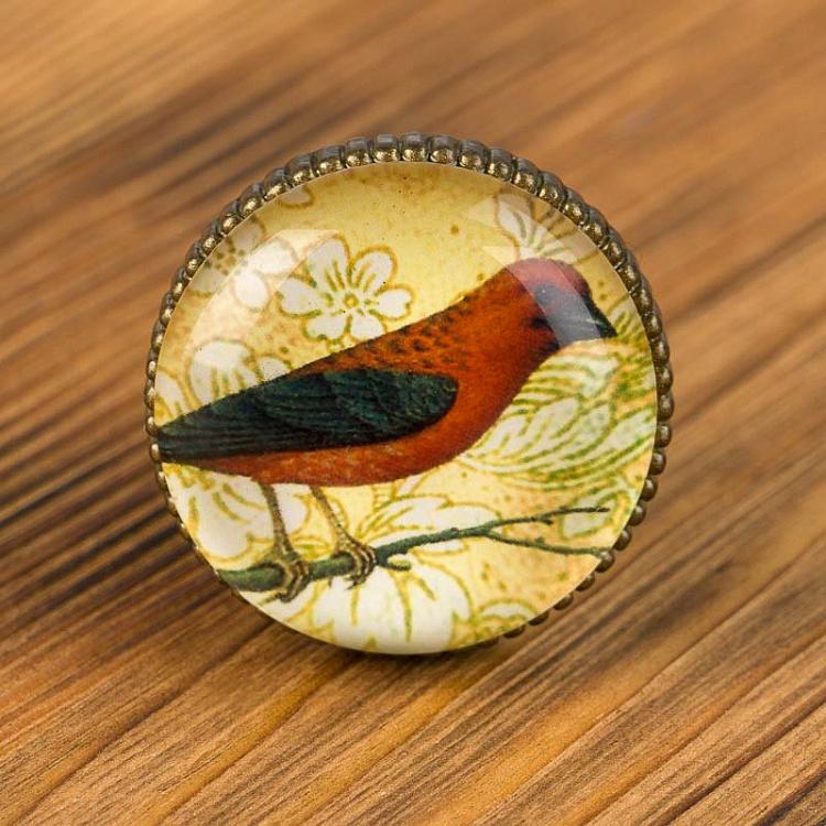 Набор из четырёх мебельных ручек Птицы 1, бронзовые Set Of 4 Handles Birds 1 Bronze