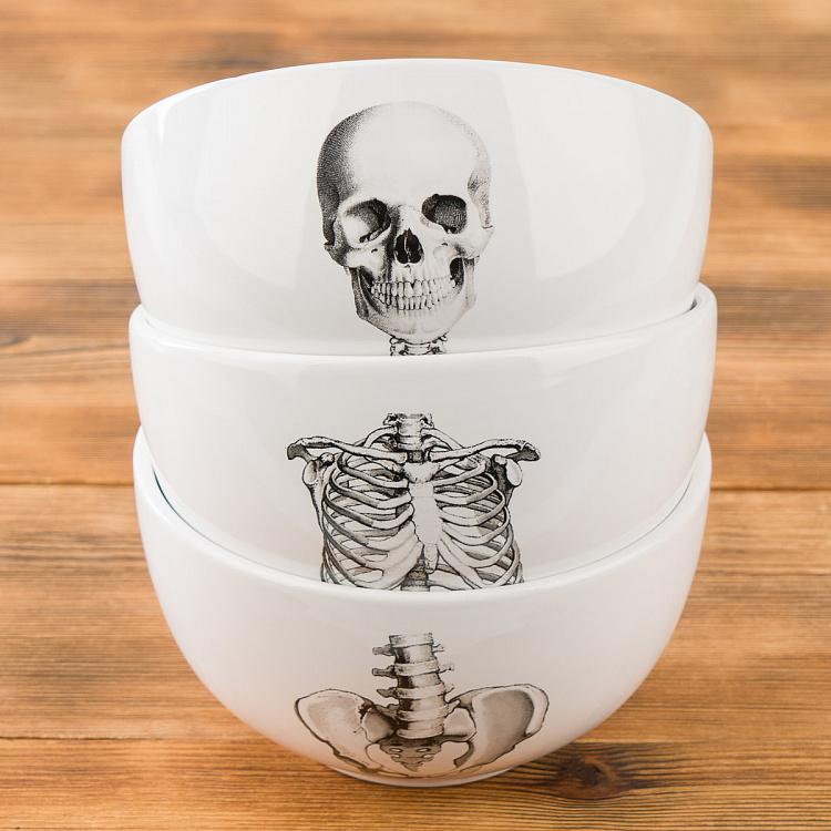 Набор из трёх пиал Естественные науки Set Of 3 Bowls Natural Sciences