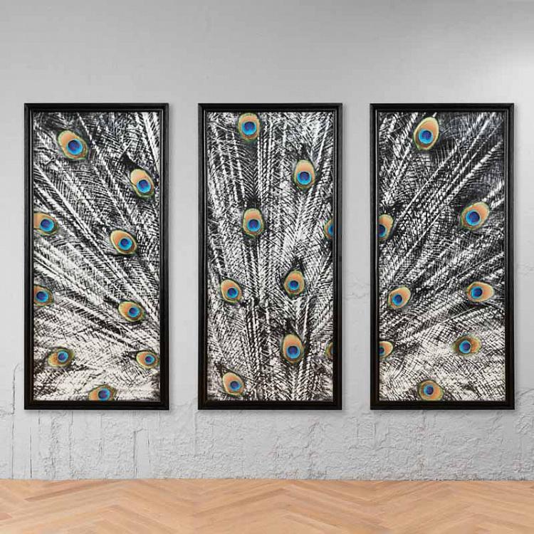 Фото-принт триптих Цветной хвост павлина Set Of 3 Animal Peacock Color