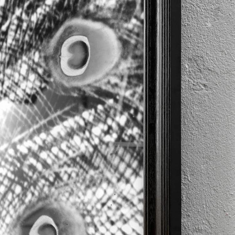 Панорамная картина-принт Хвост Павлина чёрно-белая, правая часть Animal Peacock Black White 3 Right