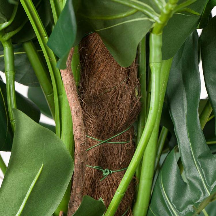 Искусственная монстера на стволе Monstera Tree Trunk 150 cm