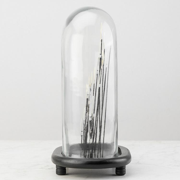 Статуэтка Разноцветные насекомые под стеклянным куполом Glass Dome With Colored Insects