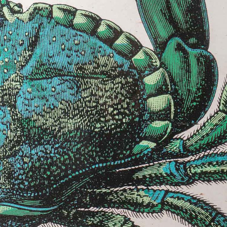 Картина-принт Краб, правая часть Crab Right