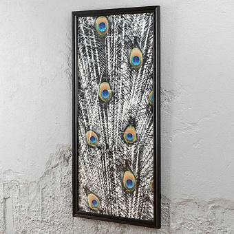 Animal Peacock Color 2 Middle