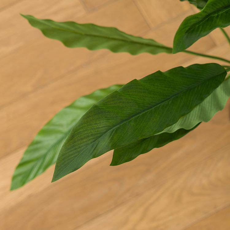 Искусственная калатея Kalatea 75 cm