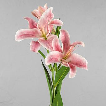 Donatello Lily Branch Pink White 88 cm