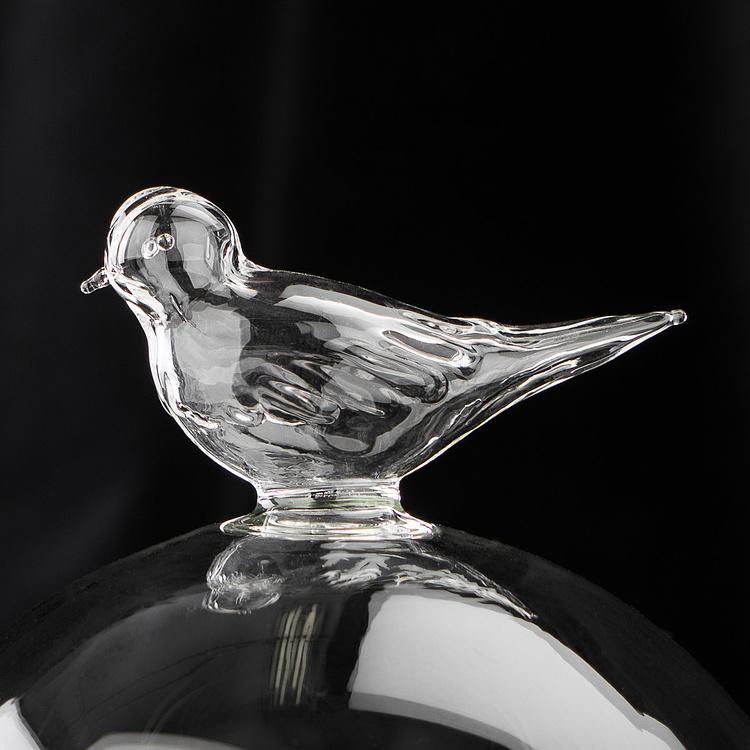 Стеклянный клош с основанием и птицей Glass Dormer With Bird
