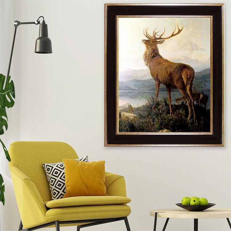 Картина-олеография в чёрной с золотом раме Монарх Долины Monarch Of The Glen, EM10 Frame