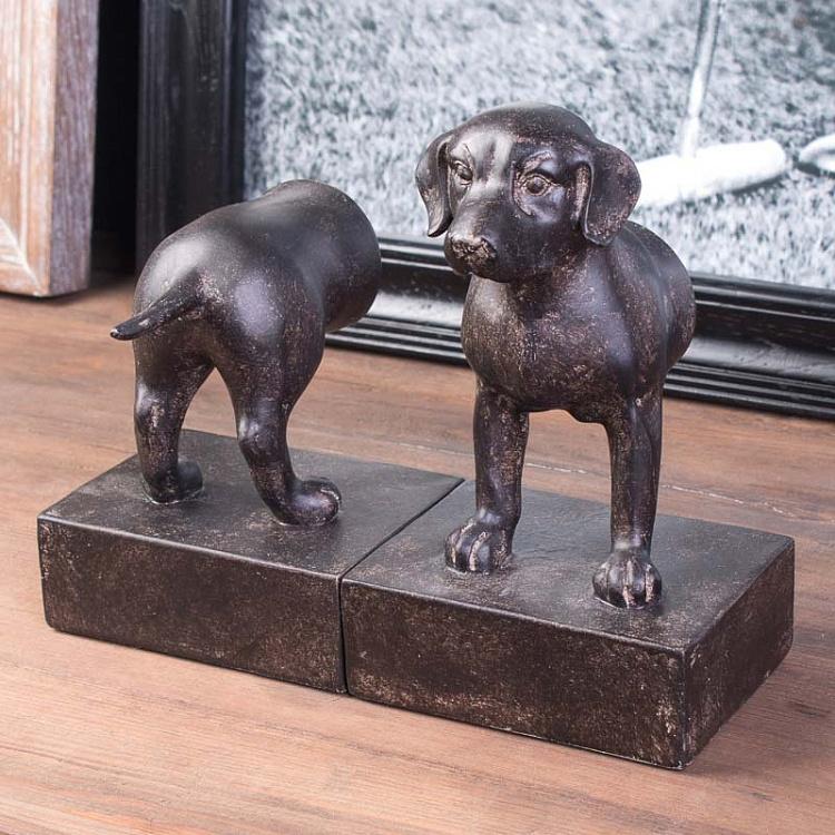 Набор из двух держателей для книг Гончая Book Ends Beagle