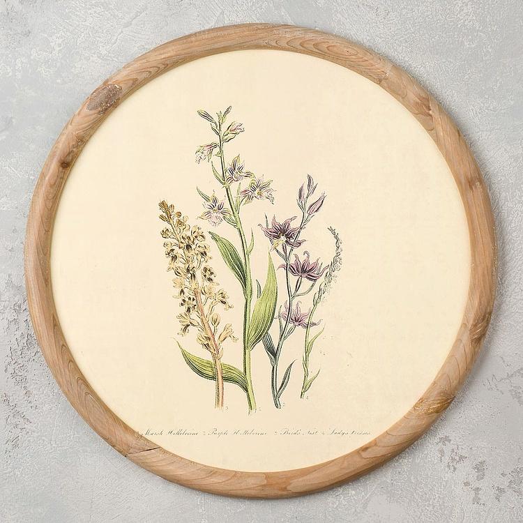 Набор из четырёх картин Флора Set Of 4 Round Frame Prints Flora