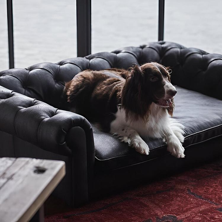 Диван для собак/кошек Вестминстер Westminster Dog Bed