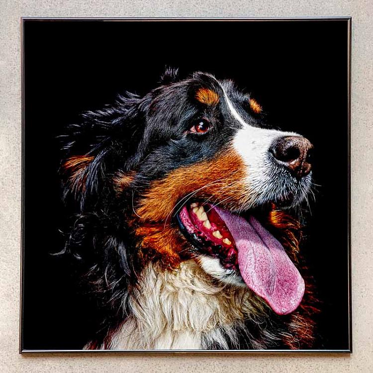 Фотография в рамке Собака 4 Dog 4 Photo