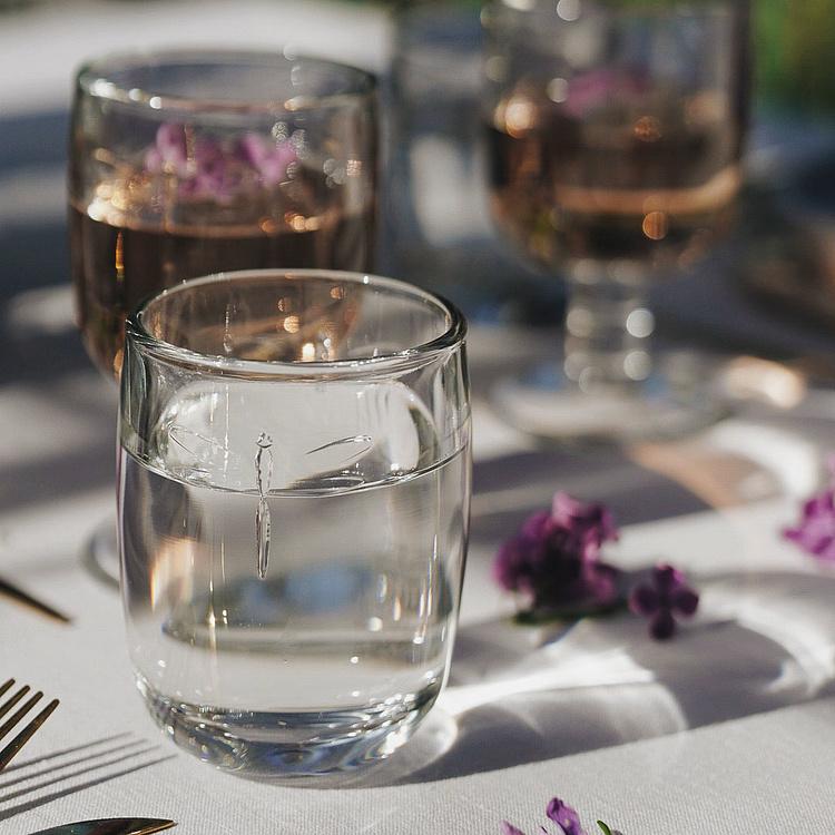 Стакан Стрекозы Libellules Tumbler