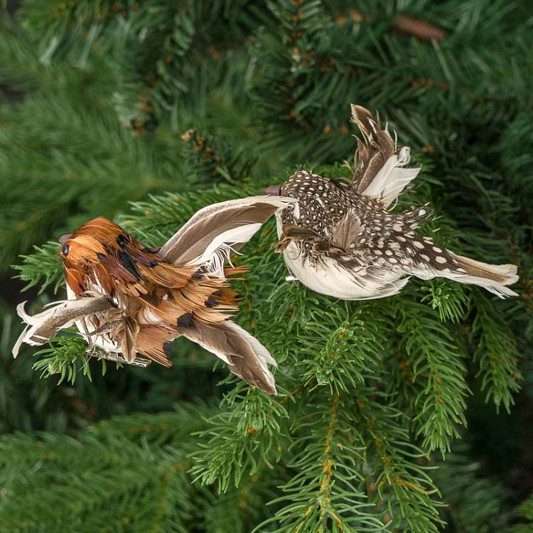 Набор из двух ёлочных игрушек на прищепке Пернатые птицы Set Of 2 Feather Birds On Clip Brown 11 cm