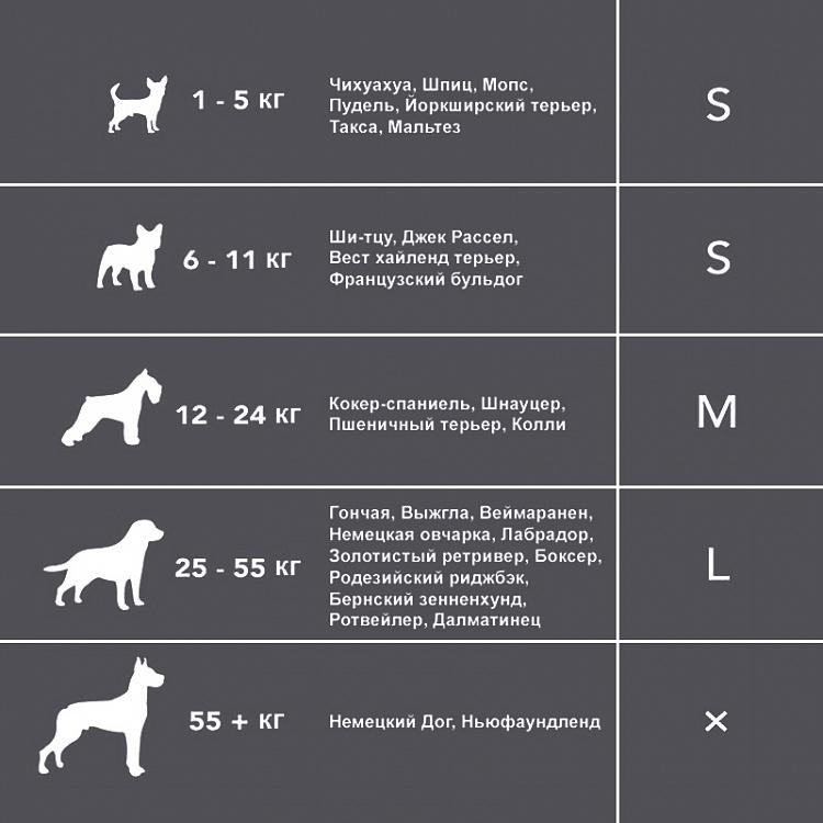 Серая лежанка для собак/кошек Квентин, L Quinten Dog Cushion Large, Grey