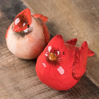 Набор для специй Red Birds Salt And Pepper