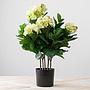 Искусственное растение Hydrangea Bush Creamy Green 55 cm