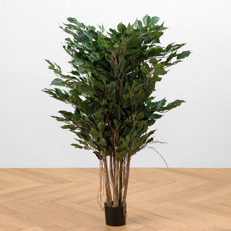 Искусственный фикус Бенджамина карликовый многоствольный Undersized Multi Barreled Ficus Benjamina 100 cm
