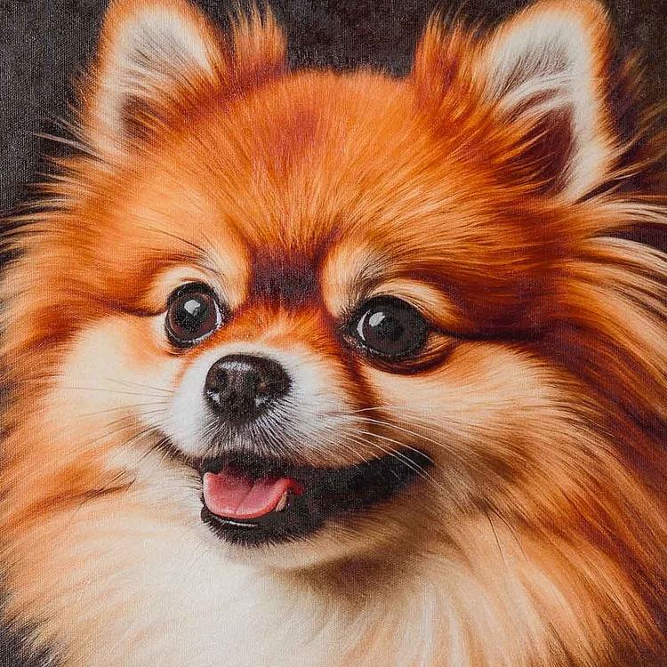 Картина Шпиц 2, холст, акрил Canvas Acrylic Painting Pomeranian 2