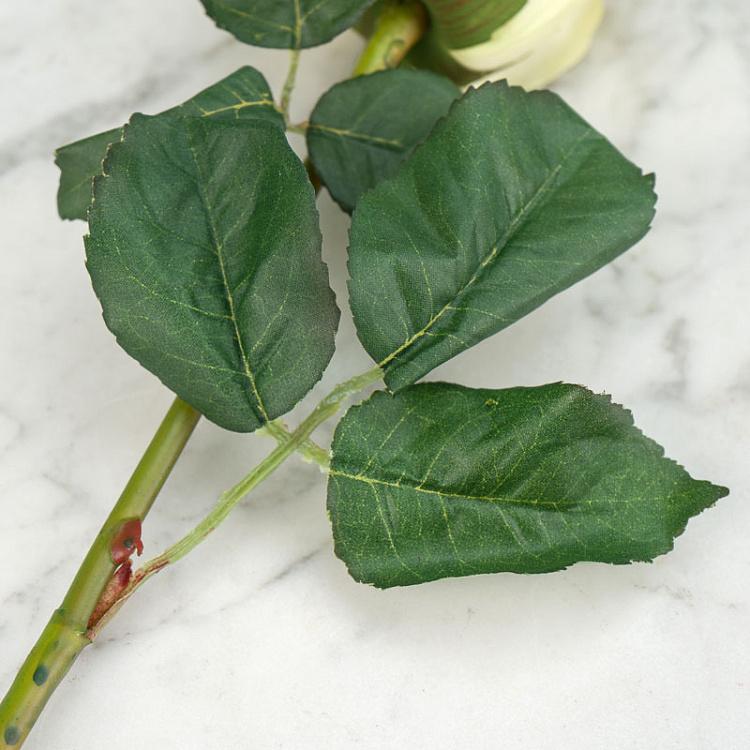 Искусственная роза Джулия бледно-персиковая с жёлтым Julia Rose Pale Peach With Yellow 53 cm