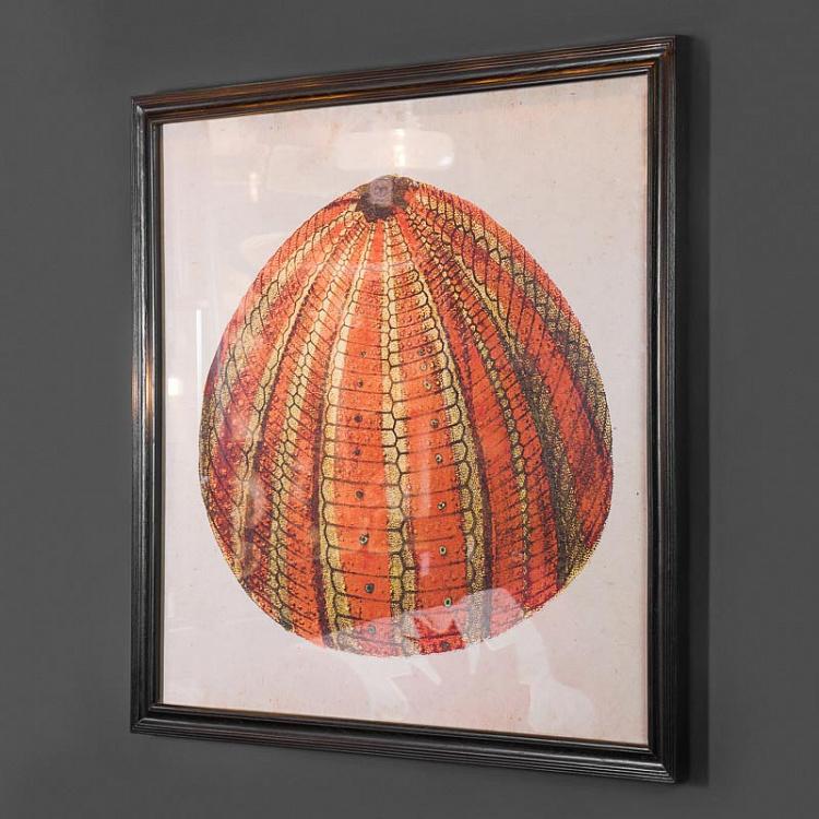 Картина-принт Оранжевый морской ёж Urchin Orange