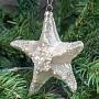Ёлочная игрушка Glass Pearl Starfish White 12 cm