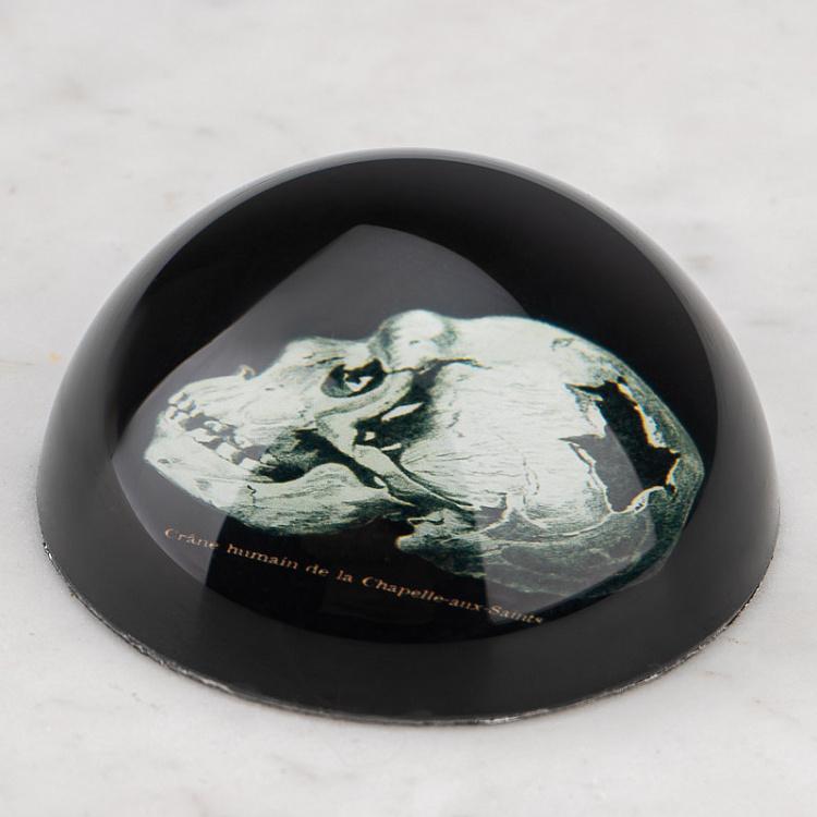 Пресс-папье с изображением черепа Glass Paperweight Skull