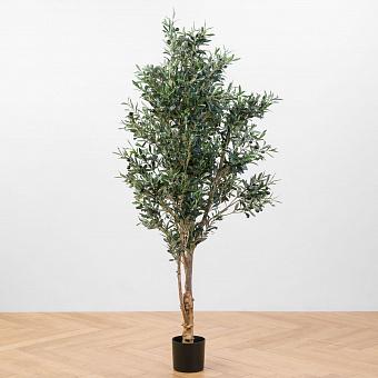 Twist Olive With Fruits 170 cm