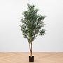 Искусственное дерево Twist Olive With Fruits 170 cm