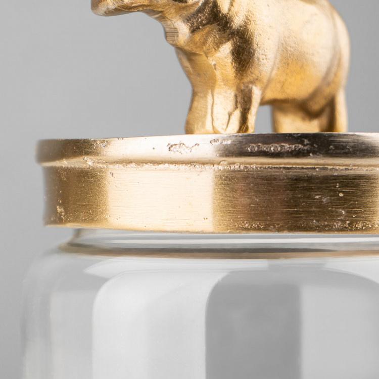 Ёмкость для хранения Золотой бегемот Decorative Jar With Hippo Figure Gold