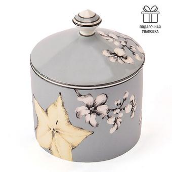 Exo Box Carambola Blue