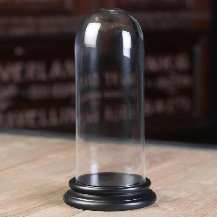 Стеклянный клош с основанием 3 Globe 3 And Socle D13 cm