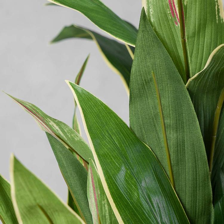 Искусственная Кордилина 5 Stems Cordyline 73 cm