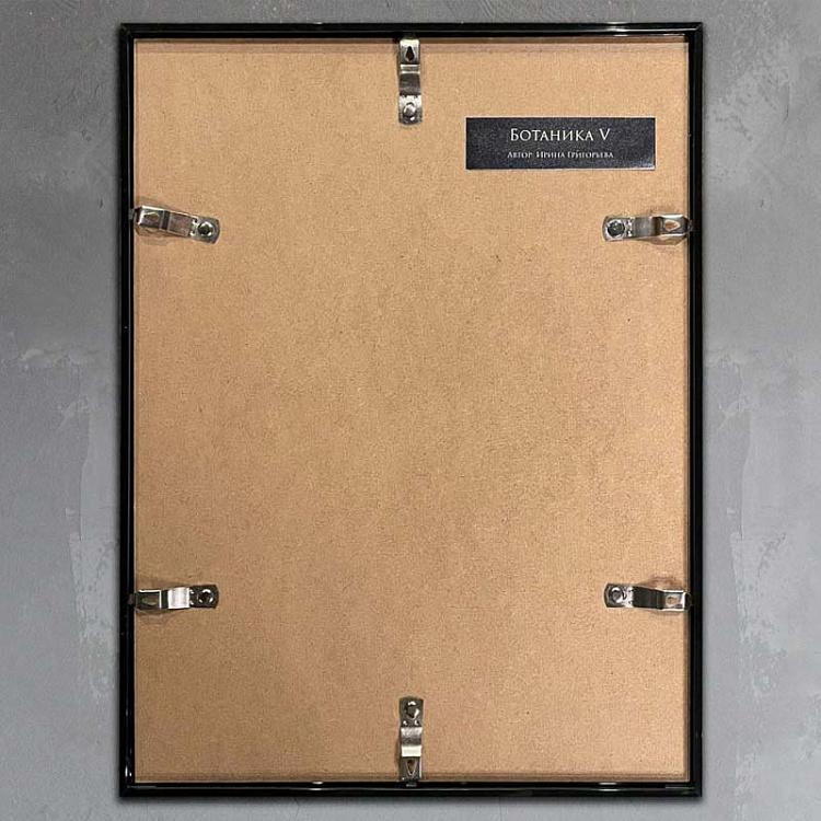 Фотография в рамке Ботаника 5 Botany 5 Photo