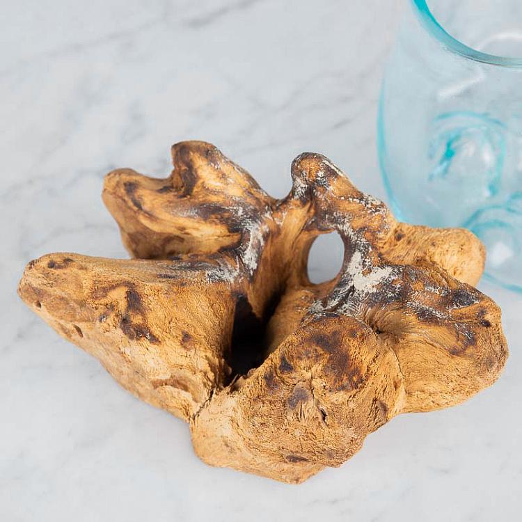 Стеклянная ваза на основании из корней тика Vase Ovale En Verre Sur Support En Racine De Teck