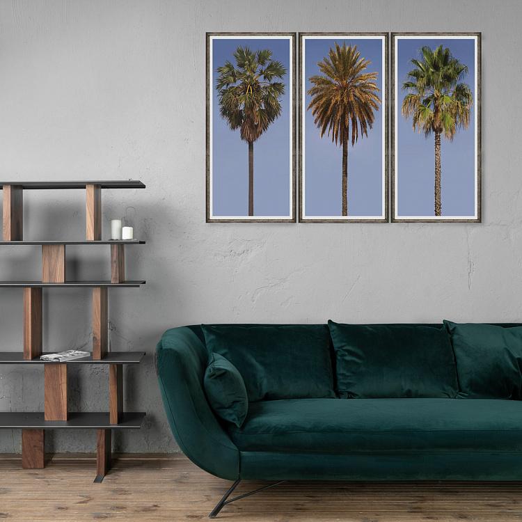 Фото-принт триптих в серебристой раме Высокие пальмы Set Of 3 Tall Palms, Pewter Frame