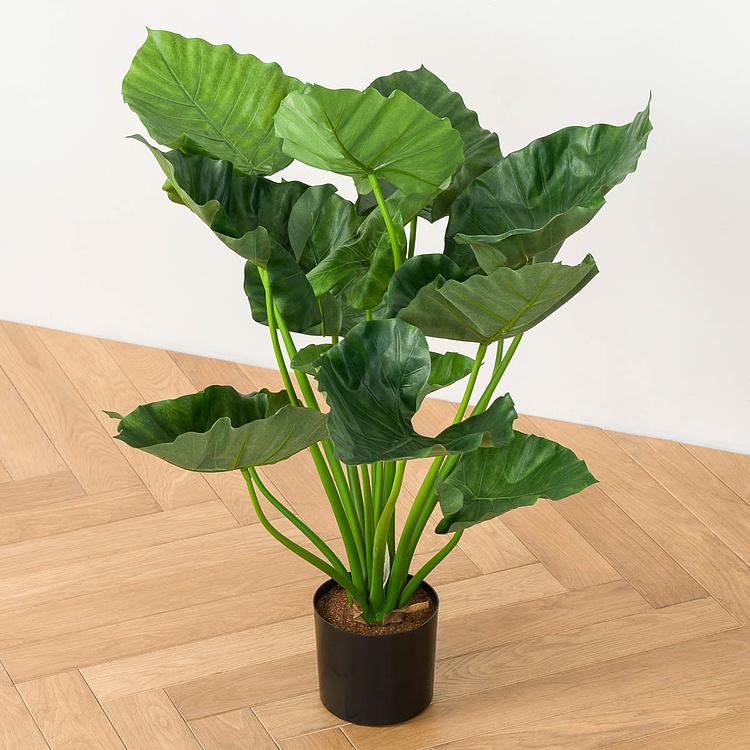 Искусственная кустовая алоказия Калидора, M Calidora Alocasia Bush 75 cm