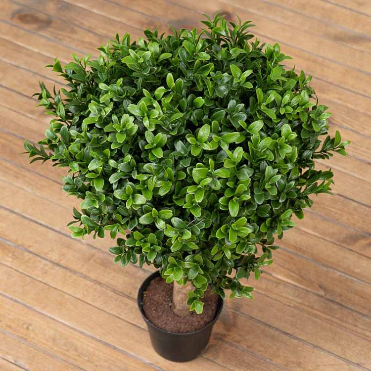 Искусственный самшит в форме шара Boxwood Ball 30 cm