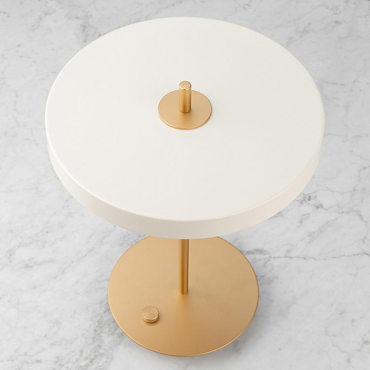 Настольная светодиодная лампа Астерия Asteria Table Lamp