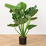 Искусственное растение Calidora Alocasia Bush 75 cm