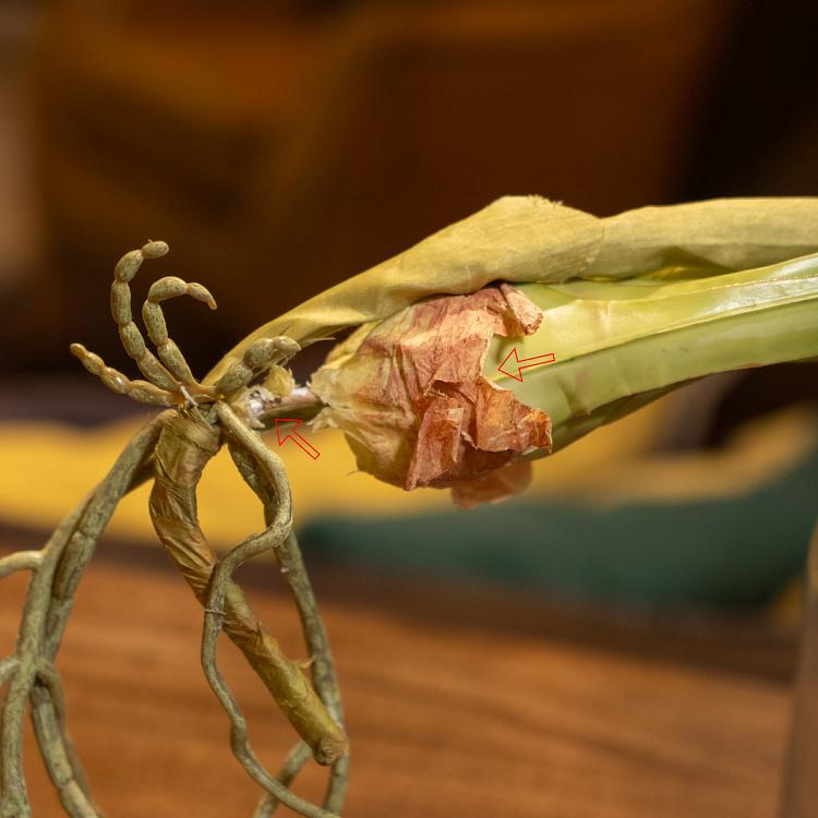 Искусственная Орхидея Цимбидиум белая дисконт Orchidee Cymbidium White 80 cm discount