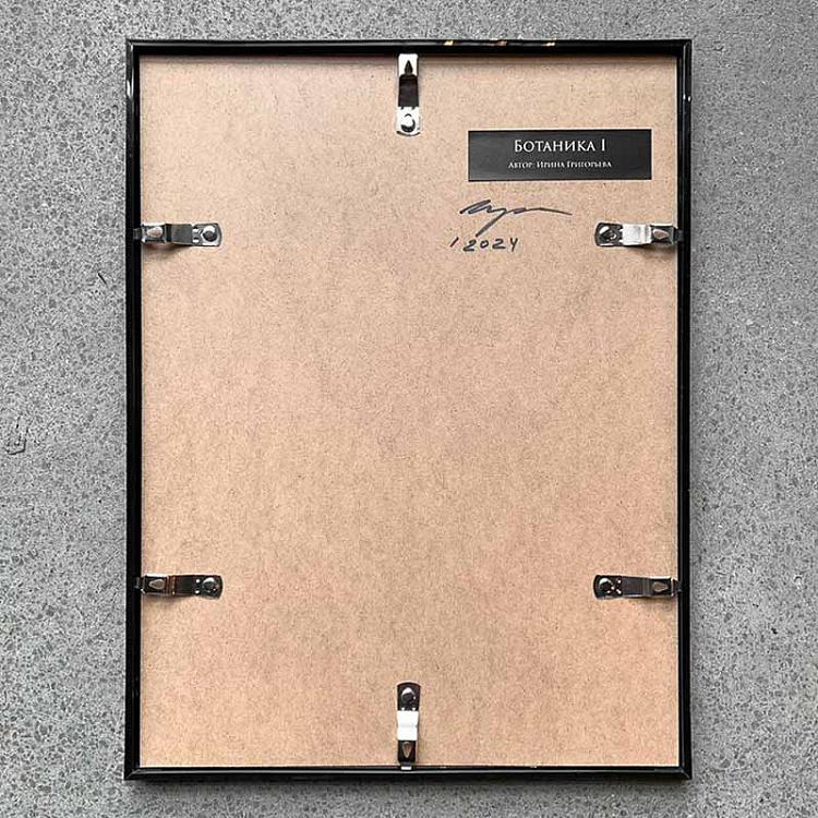 Фотография в рамке Ботаника 1 Botany 1 Photo