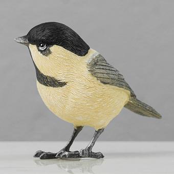Coal Tit