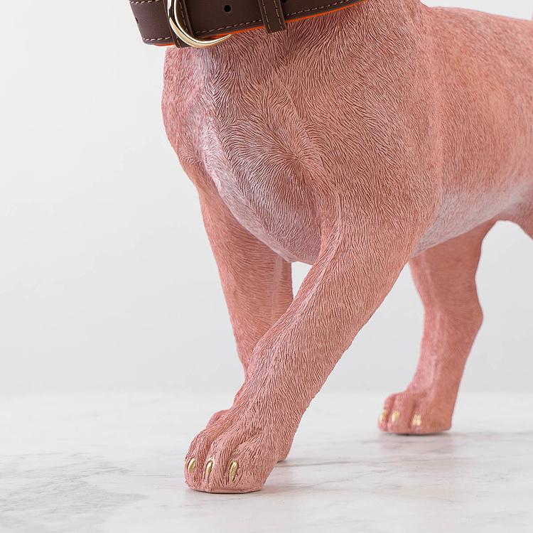 Статуэтка Собака Чарли в ошейнике Dog Charlie With Collar Pink